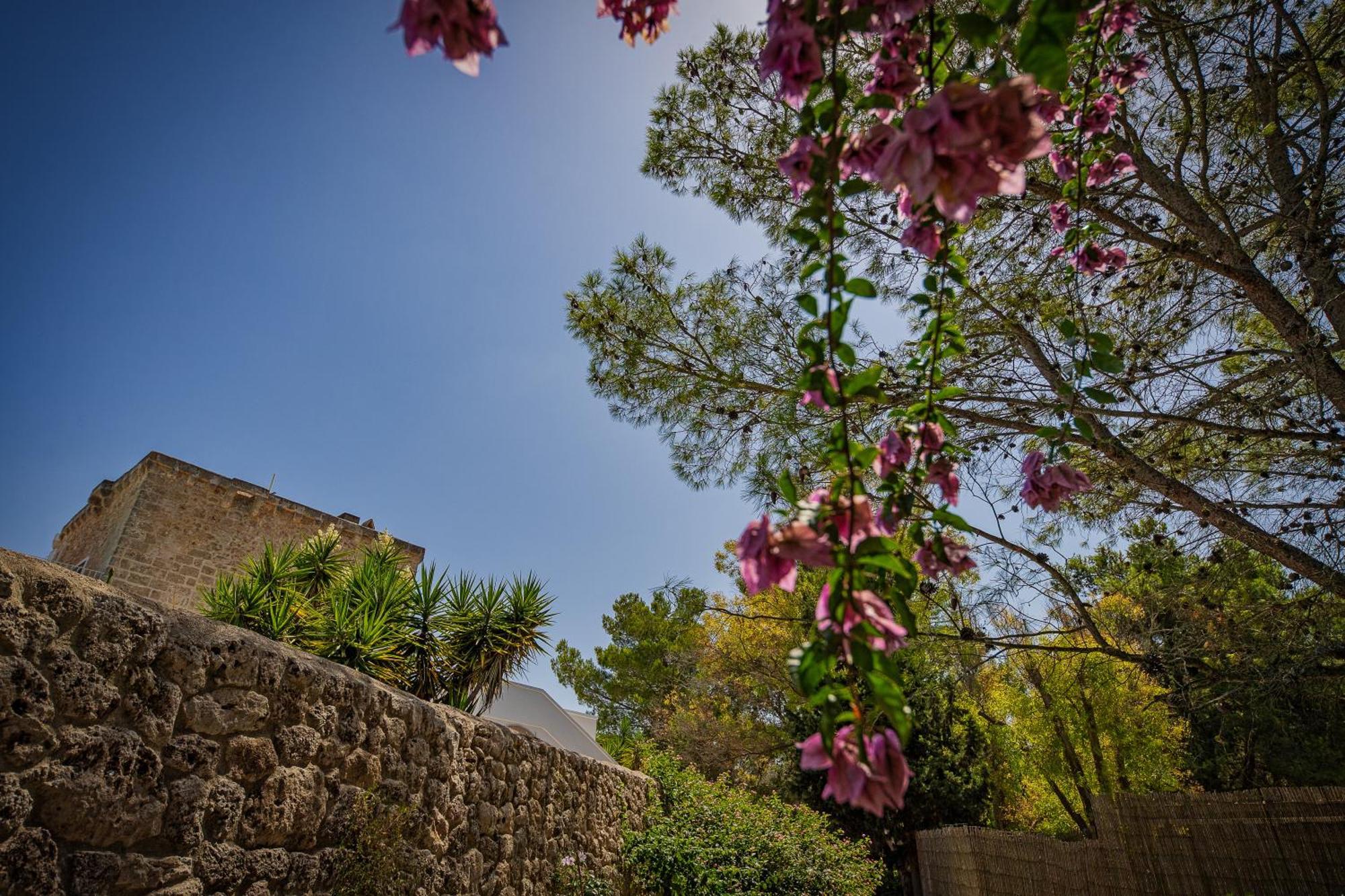 Torre Casciani Villa Ugento Bagian luar foto