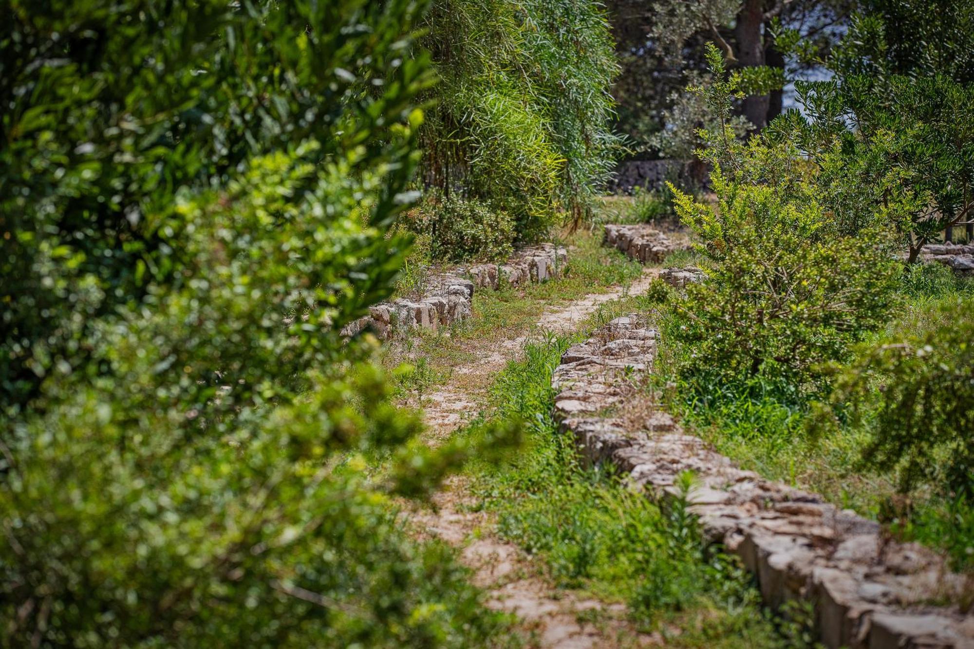 Torre Casciani Villa Ugento Bagian luar foto