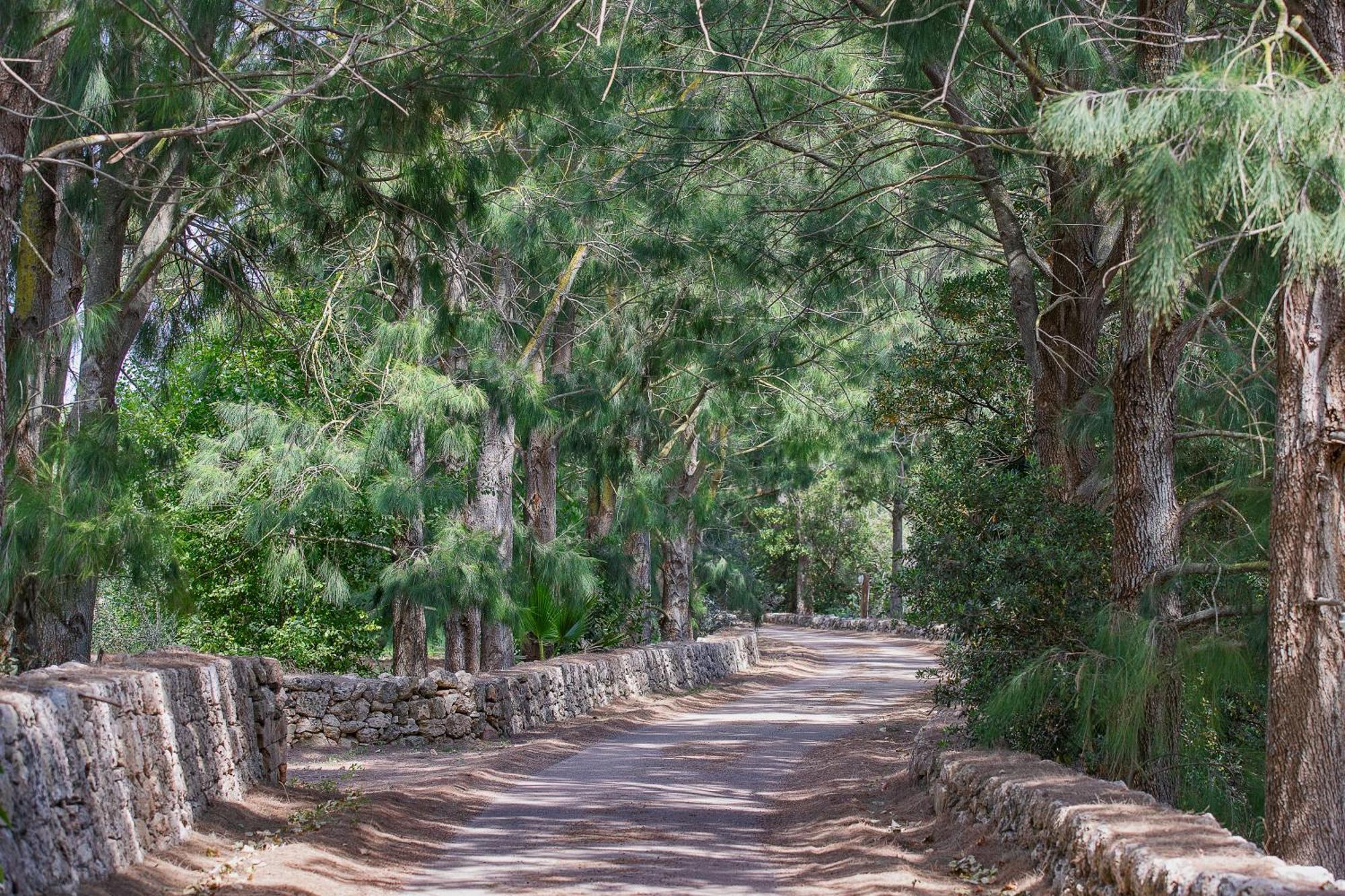 Torre Casciani Villa Ugento Bagian luar foto