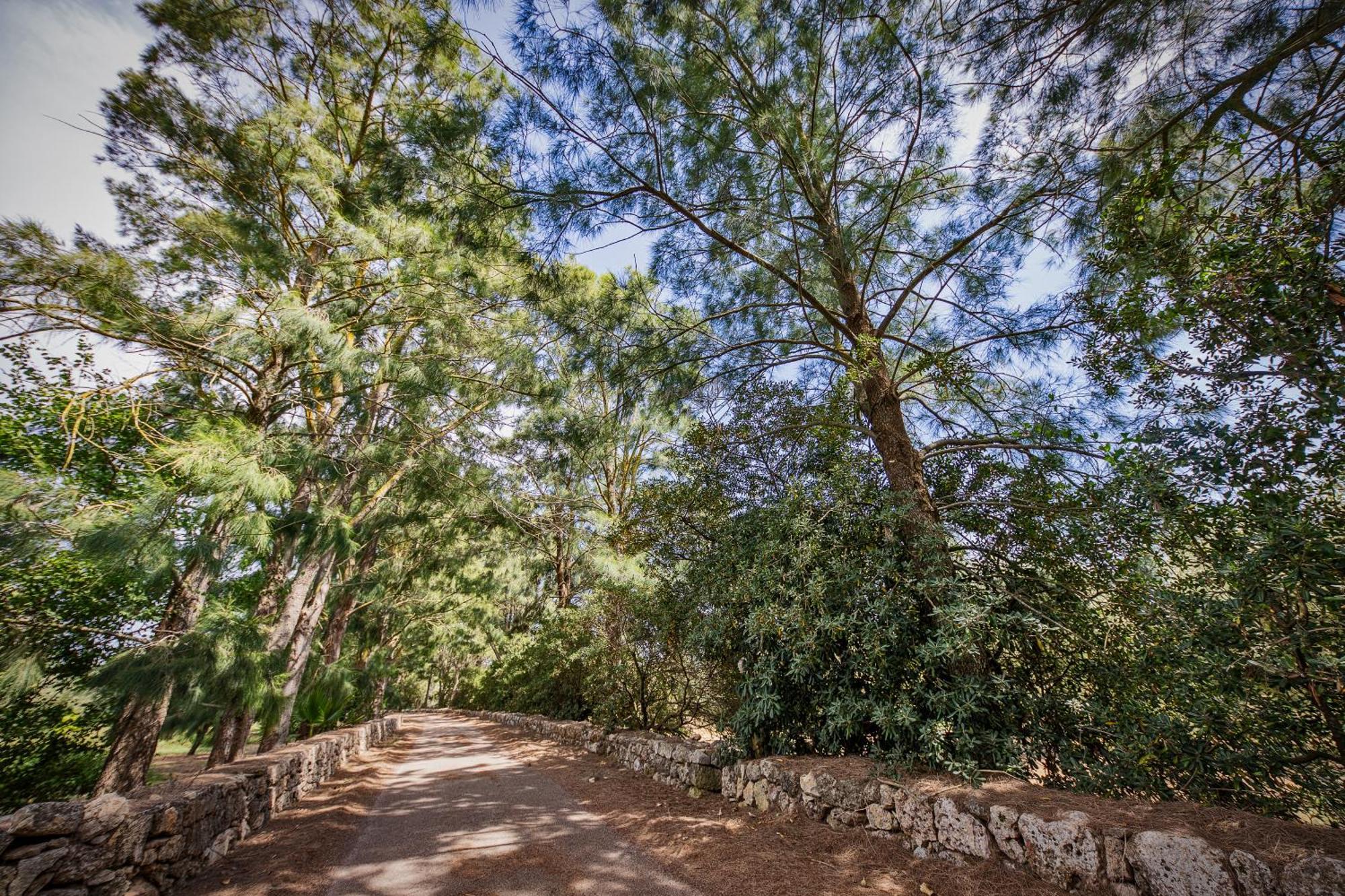 Torre Casciani Villa Ugento Bagian luar foto