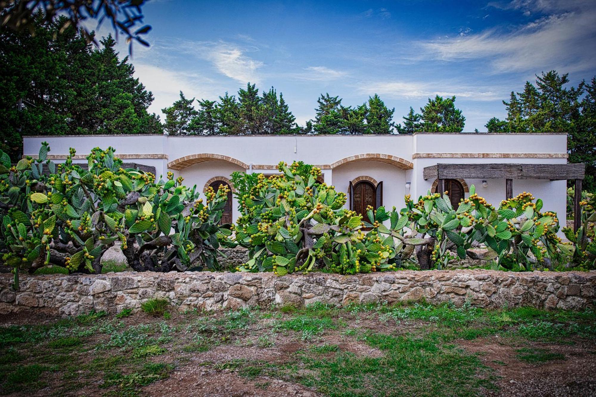 Torre Casciani Villa Ugento Bagian luar foto
